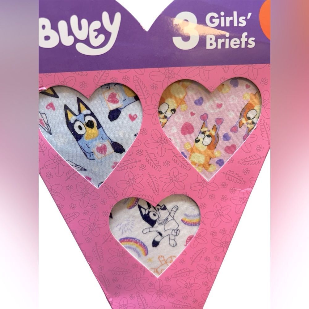 Childrens Character Valentine's Day Underwear Set, Bluey, size 4T - Picture 3 of 5